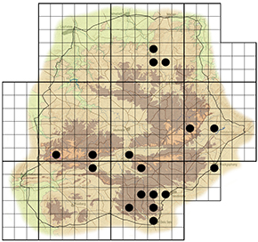 precis ceryne Waterberg distribution